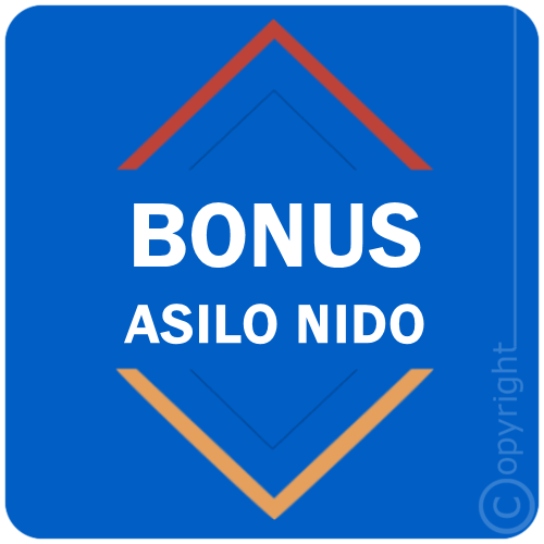 BONUS ASILO NIDO