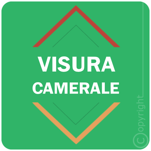 VISURA CAMERALE