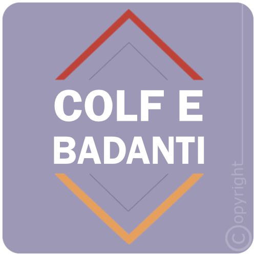 COLF E BADANTI