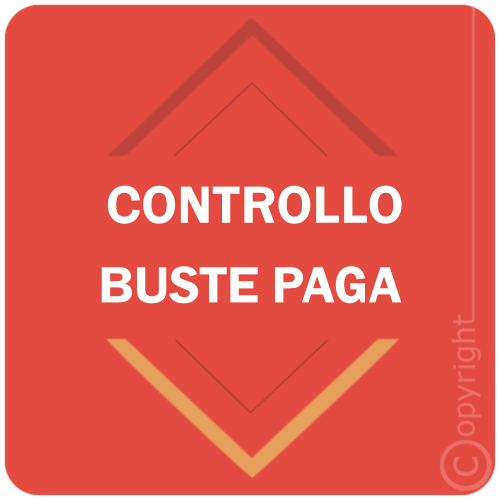 CONTROLLO BUSTE PAGA