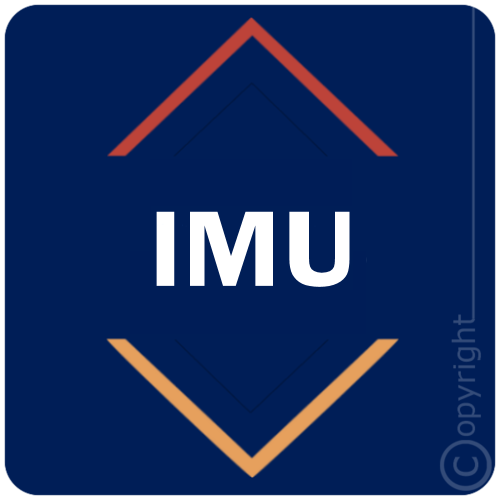 IMU